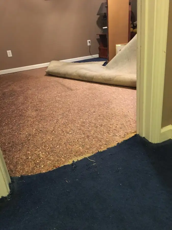 Carpet pad removal revealing water damage during Water Mitigation Services in Wauchula
