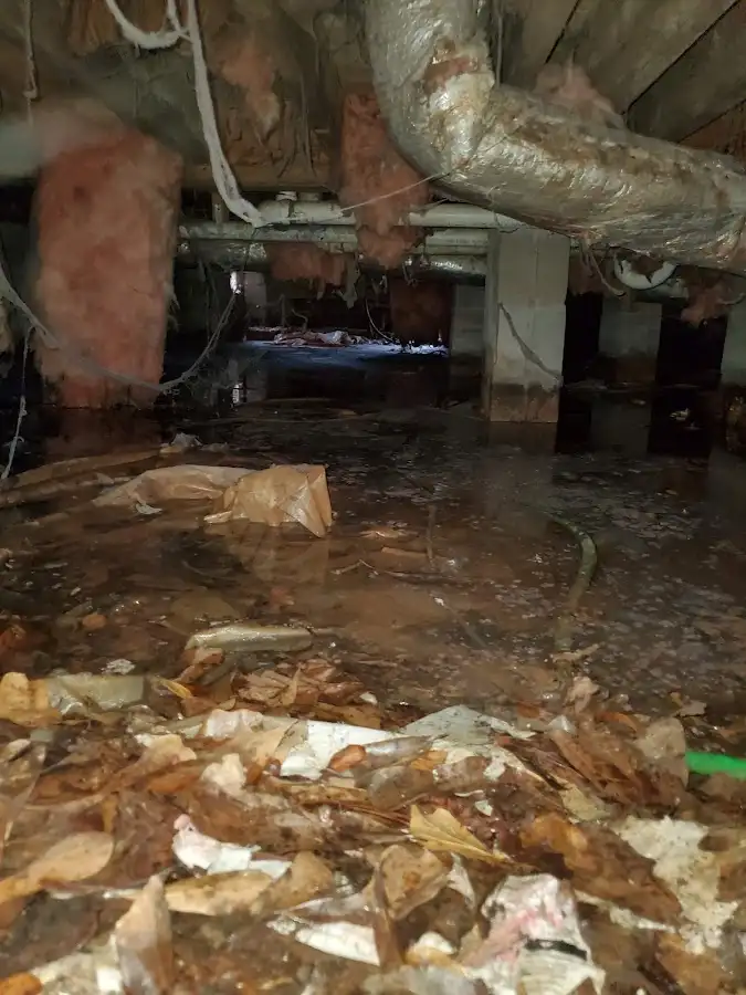 Crawl space flood assessment for Leak Detection & Repair in Wauchula