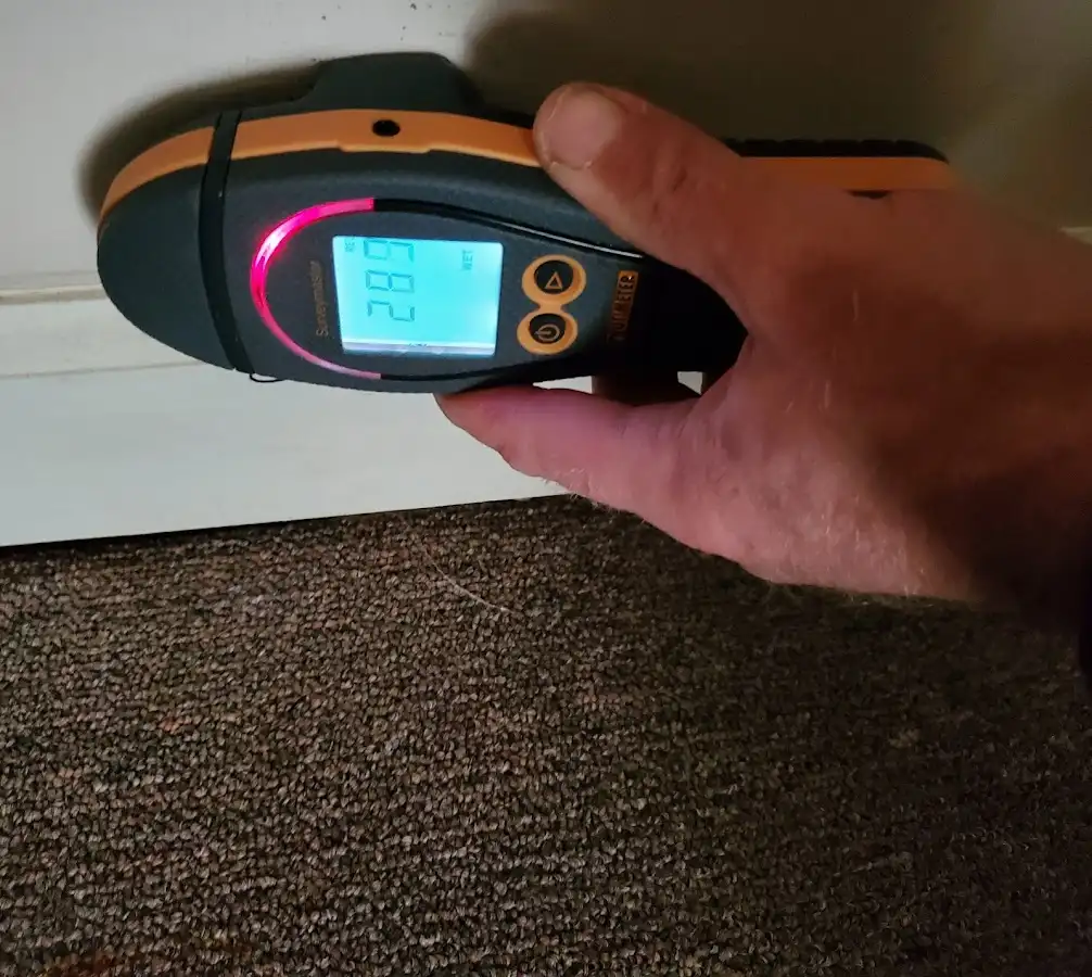 Moisture detection at baseboard during Sewage Cleanup & Sanitation in Wauchula